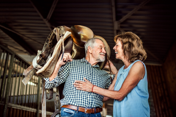 A happy senior couple holding a horse saddle on his shoulders in a stable.