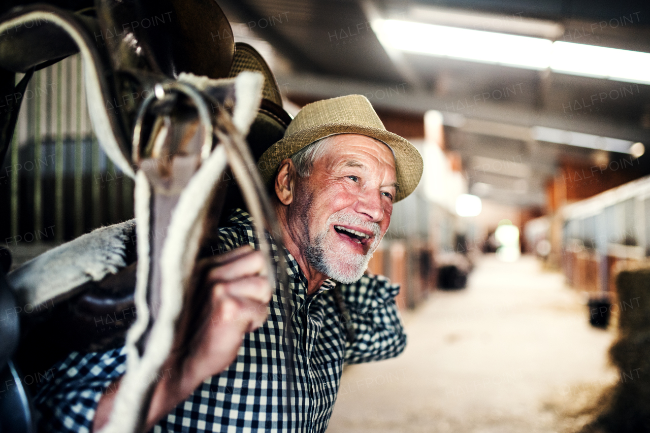 A happy senior man with a hat carrying a horse saddle on his shoulders in a stable.