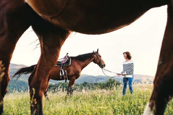 A happy senior woman holding a horse by his lead outdoors on a pasture.