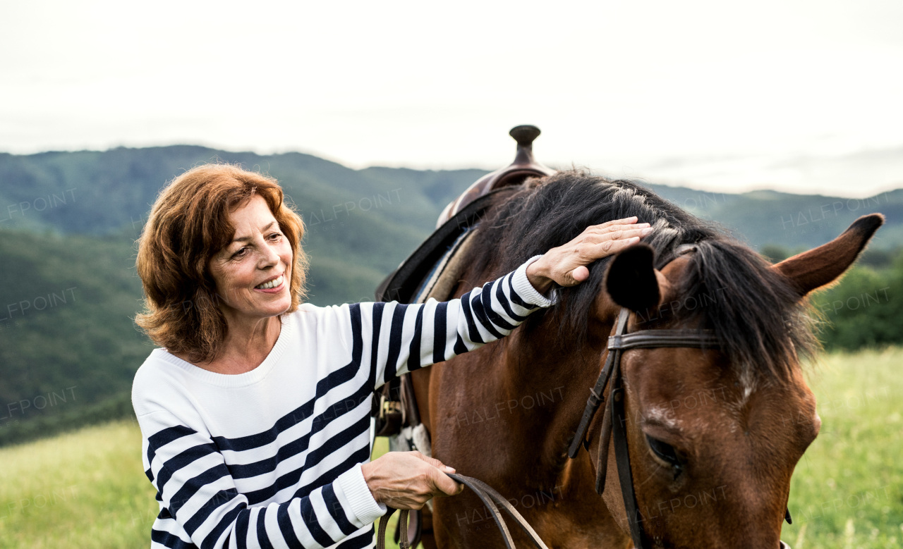 A happy senior woman holding a horse by his lead outdoors on a pasture.