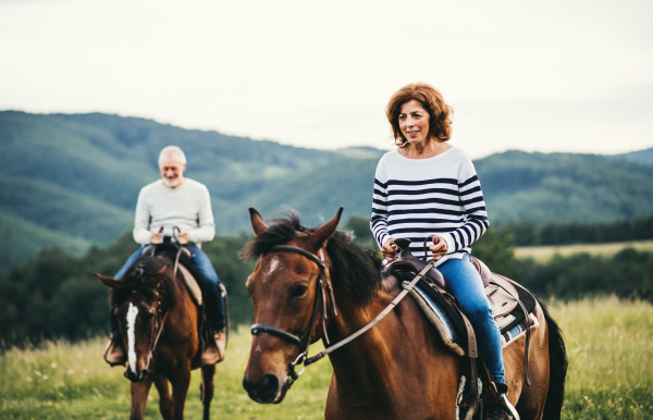 A happy senior couple riding horses on a meadow in nature.