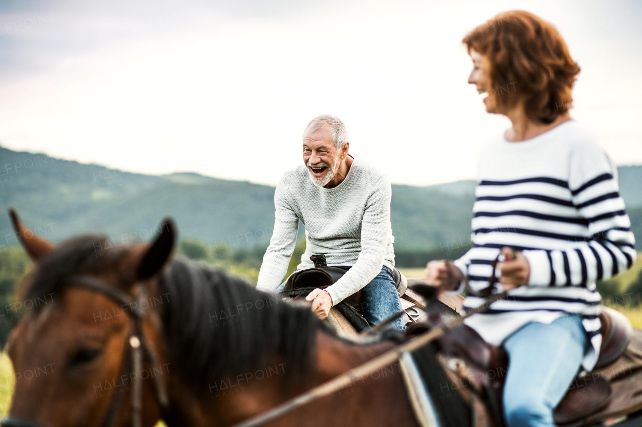 A happy senior couple riding horses on a meadow in nature.