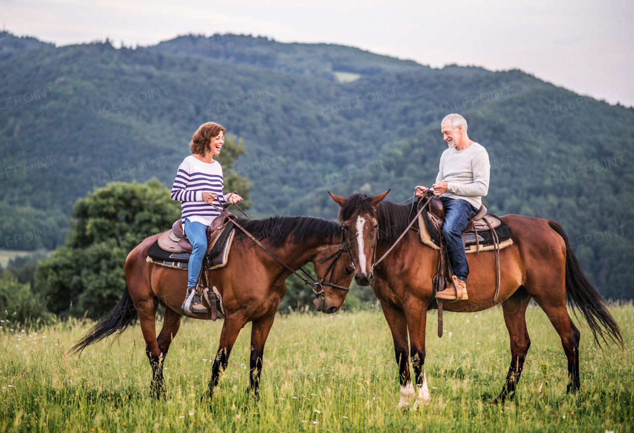 A happy senior couple riding horses on a meadow in nature.