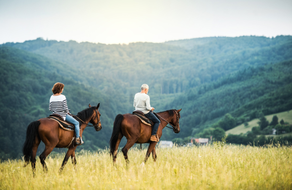 A happy senior couple riding horses on a meadow in nature. Copy space.