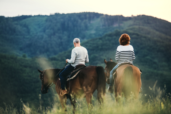 A rear view of happy senior couple riding horses on a meadow in nature.