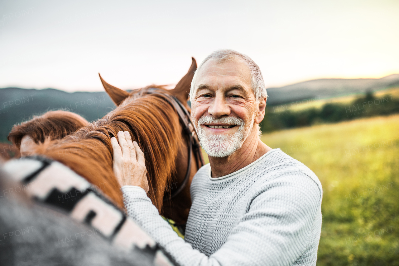 A happy senior man standing close to a horse outdoors in nature, holding it.