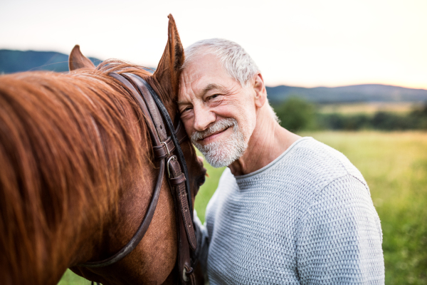 A happy senior man standing close to a horse outdoors in nature, holding it.