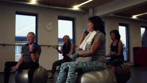 A group of cheerful seniors in gym doing exercise with dumbbells on fit balls.