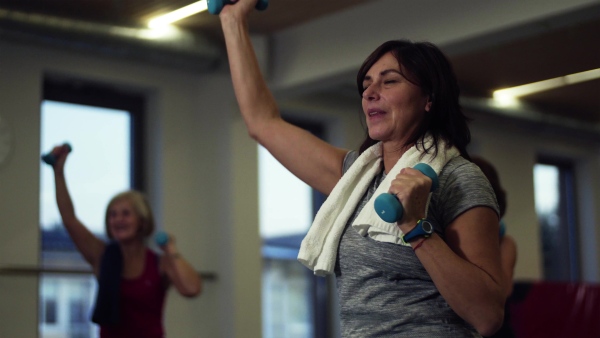 A group of cheerful seniors standing in gym doing exercise with dumbbells.