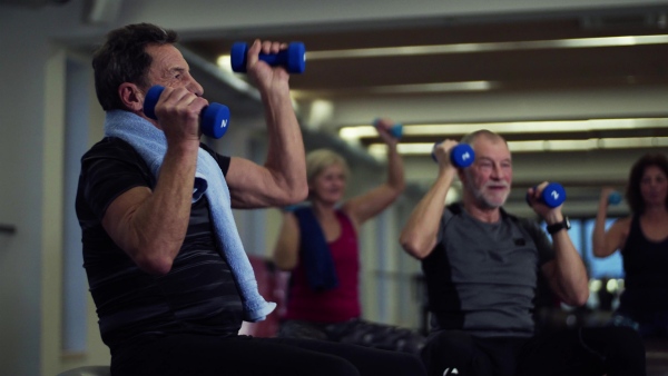 A group of cheerful seniors in gym doing exercise with dumbbells on fit balls.