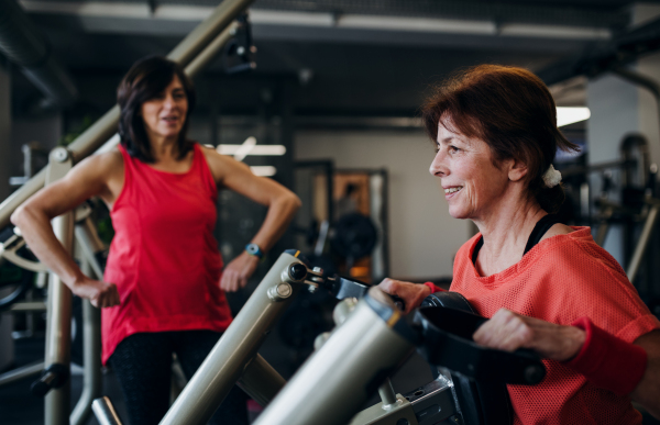 Two cheerful senior women friends in gym doing strength workout exercise.