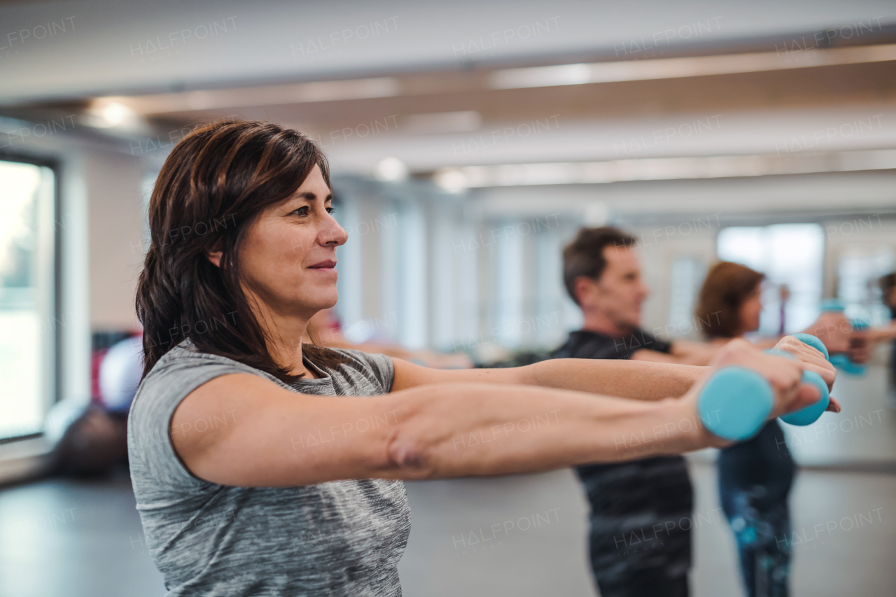 A group of cheerful seniors standing in gym doing exercise with dumbbells.