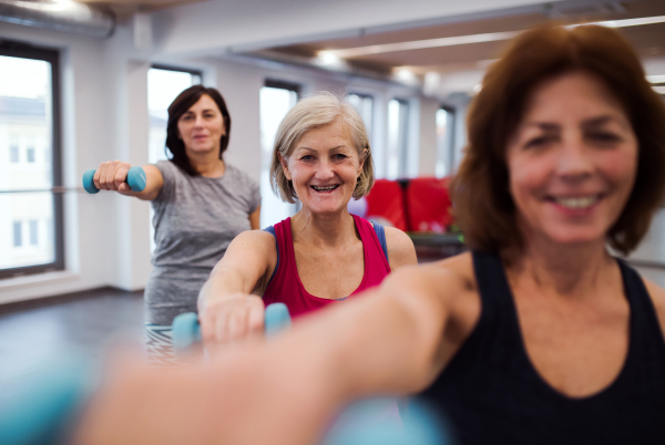 A group of cheerful female seniors in gym doing exercise with dumbbells.