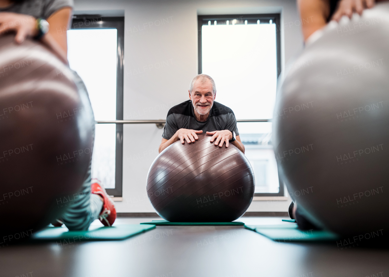 A group of cheerful seniors in gym doing exercise with fit balls.