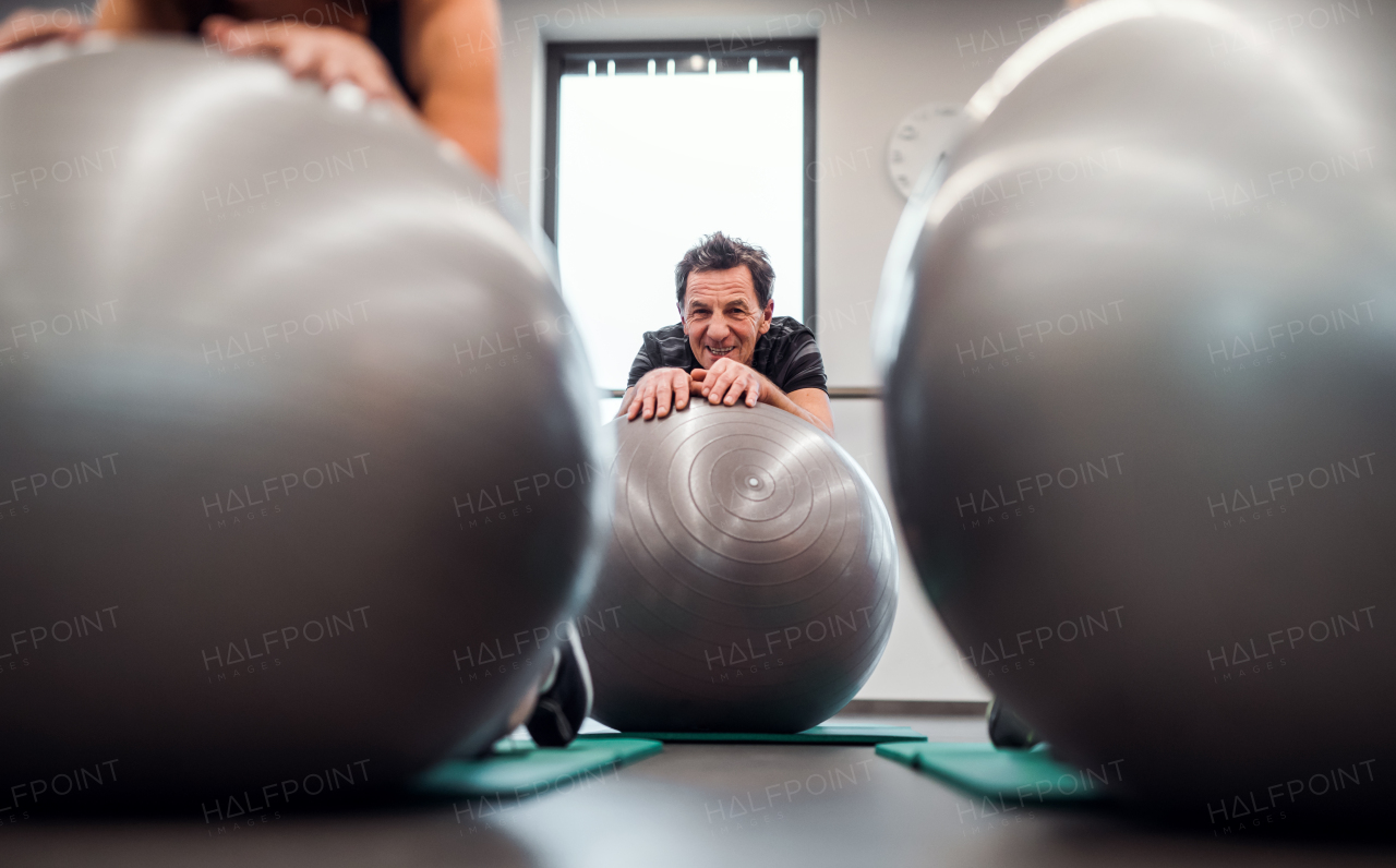 A group of cheerful female seniors in gym doing exercise on fit balls, a midsection.