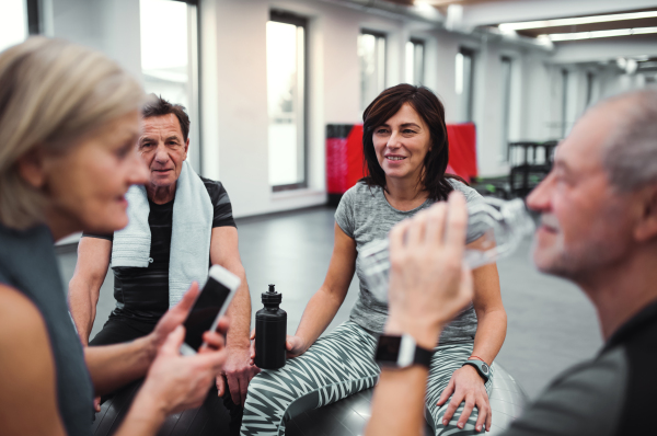 A group of cheerful seniors in gym resting after doing exercise on fit balls, talking.