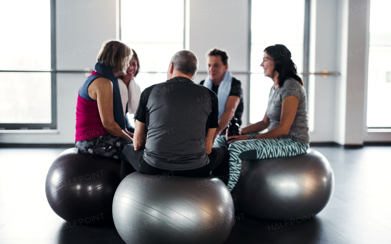 A group of cheerful seniors in gym resting after doing exercise on fit balls, talking.