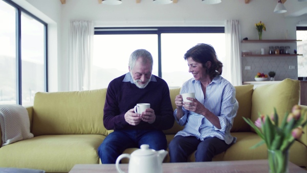 An affectionate senior couple in love sitting on sofa indoors at home, talking.