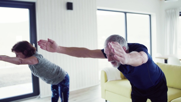 A happy senior couple indoors at home, doing exercise indoors.