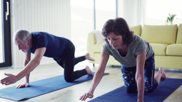 A happy senior couple indoors at home, doing exercise indoors.