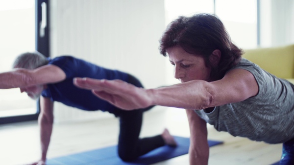 A happy senior couple indoors at home, doing exercise indoors.