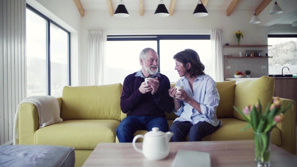 An affectionate senior couple in love sitting on sofa indoors at home, talking. Slow motion.