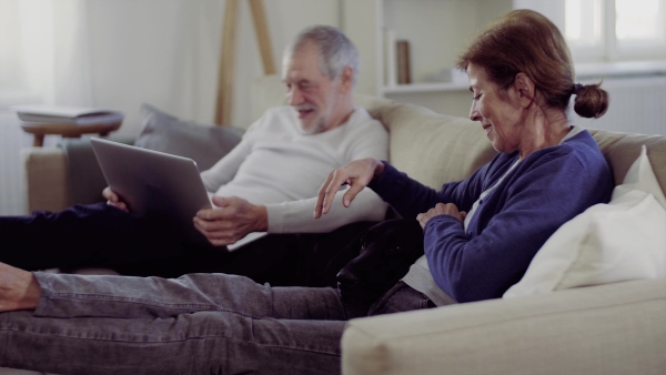 A happy senior couple with laptop and a pet dog sitting on a sofa indoors at home, using laptop.