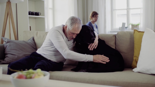 A happy senior couple indoors with a black pet dog at home, having good time.