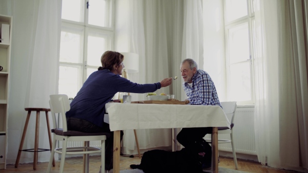 A happy senior couple with a dog sitting at the table at home, having breakfast.