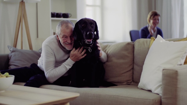 A happy senior couple indoors with a black pet dog at home, having good time.