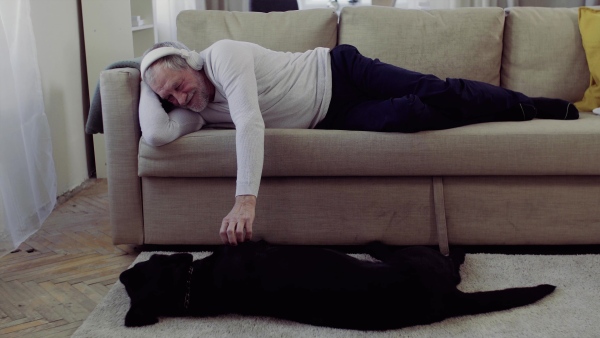 A happy senior man with headphones lying on a sofa indoors at home, playing with a pet dog while listening to music.