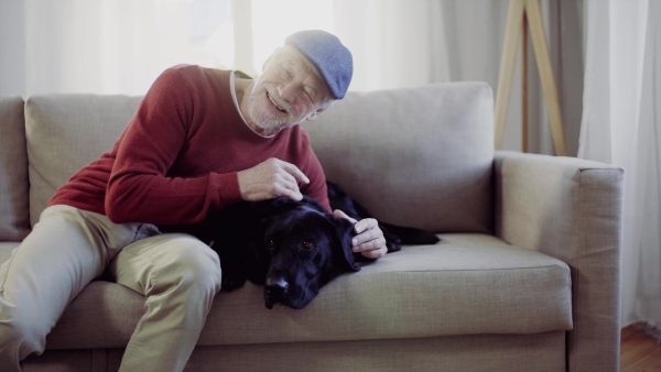 A senior man with a flat cap sitting on a sofa indoors at home, stroking a pet dog.