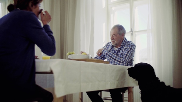 A happy senior couple with a pet dog sitting at the table at home, having breakfast. Slow motion.