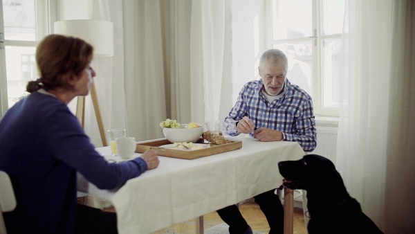 A happy senior couple with a pet dog sitting at the table at home, having breakfast. Slow motion.