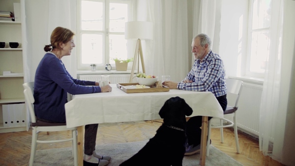 A happy senior couple with a pet dog sitting at the table at home, having breakfast. Slow motion.