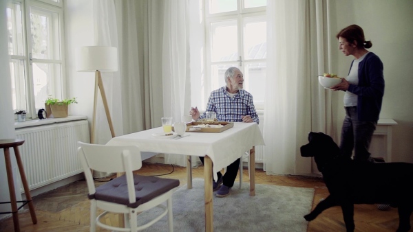 A happy senior couple with a pet dog having breakfast at the table at home. Slow motion.