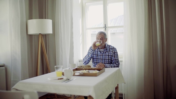 A senior couple with a pet dog having breakfast at the table at home. Slow motion.