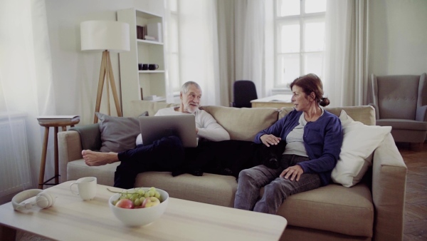 A happy senior couple with laptop and a pet dog sitting on a sofa indoors at home, using laptop. Slow motion.