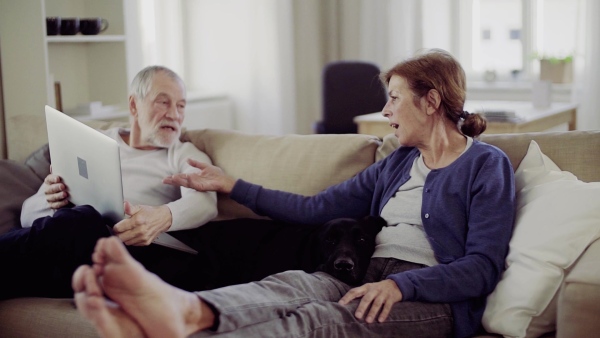 A happy senior couple with laptop and a pet dog sitting on a sofa indoors at home, using laptop. Slow motion.