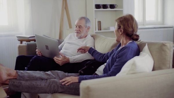 A happy senior couple with laptop and a pet dog sitting on a sofa indoors at home, using laptop. Slow motion.