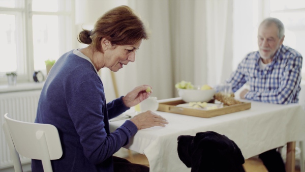 A senior couple sitting at the table at home feeding a pet dog when having breakfast.