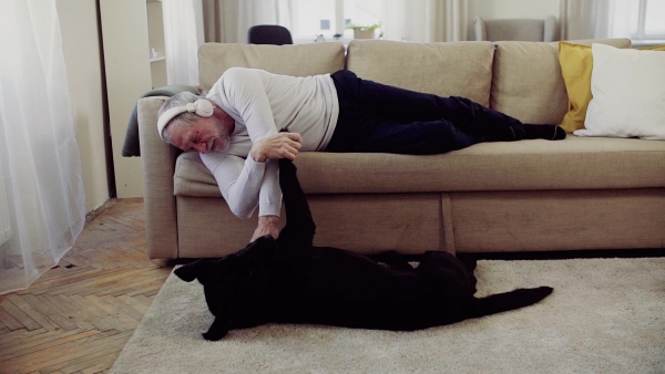 A happy senior man with headphones lying on a sofa indoors at home, playing with a pet dog while listening to music. Slow motion.