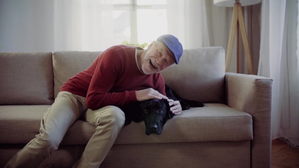 A senior man and a pet dog with flat caps sitting on a sofa indoors at home, having fun. Slow motion.