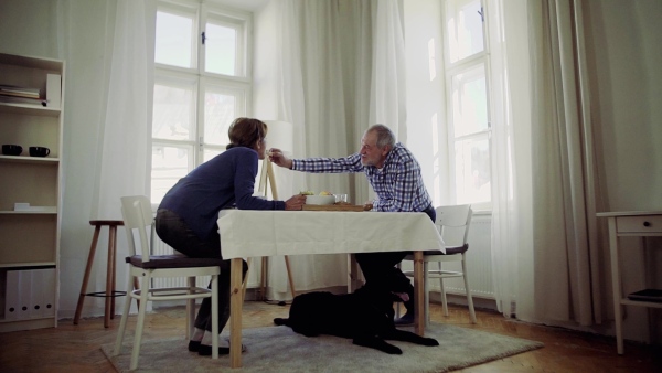 A happy senior couple with a dog sitting at the table at home, having breakfast. Slow motion.