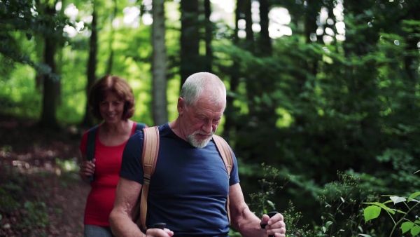 A senior tourist couple with backpacks walking in forest in nature. Slow motion.