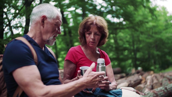 Senior tourist couple with steel flask on a walk in forest in nature, sitting. Slow motion.