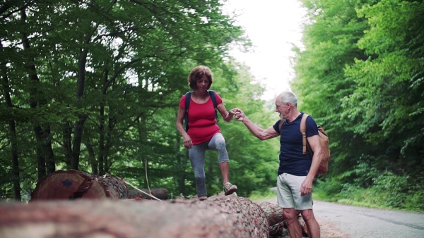 A senior tourist couple with backpacks walking in forest in nature. Slow motion.