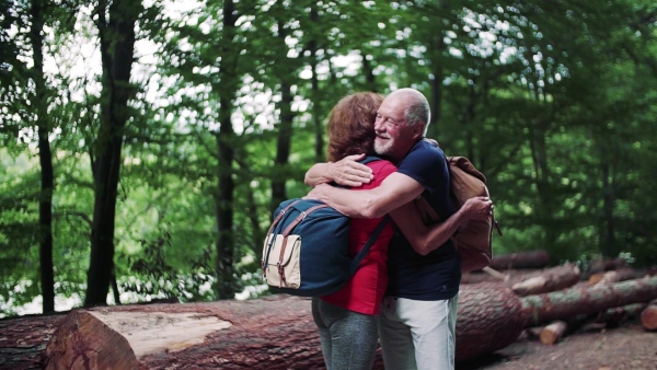 A senior tourist couple with backpacks walking in forest in nature, hugging. Slow motion.