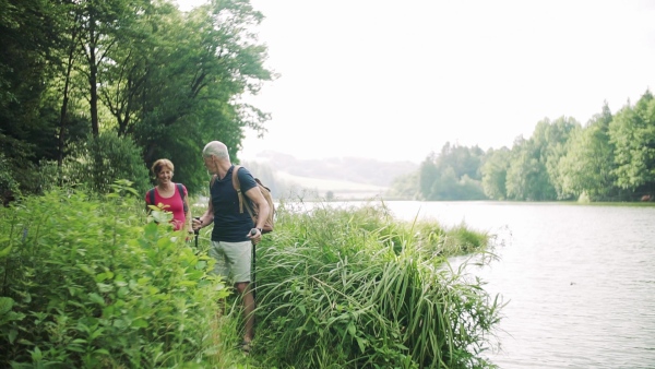 A senior tourist couple on a walk in nature, walking by lake. Slow motion.