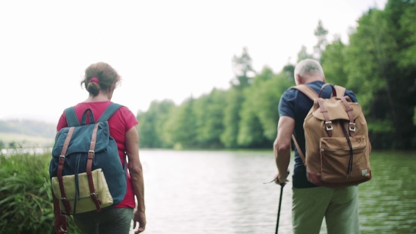 A rear view of senior tourist couple on a walk in nature, walking by lake. Slow motion.